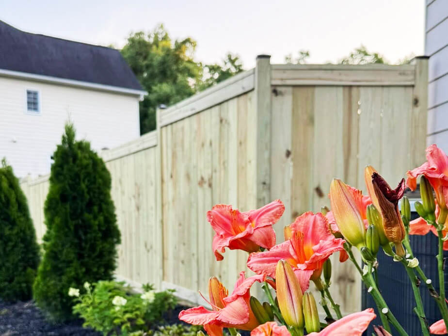 Wood fence in Cornelius North Carolina
