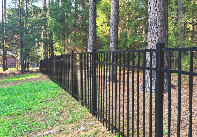 Aluminum (ornamental iron) fence in backyard of a house in mount pleasant NC